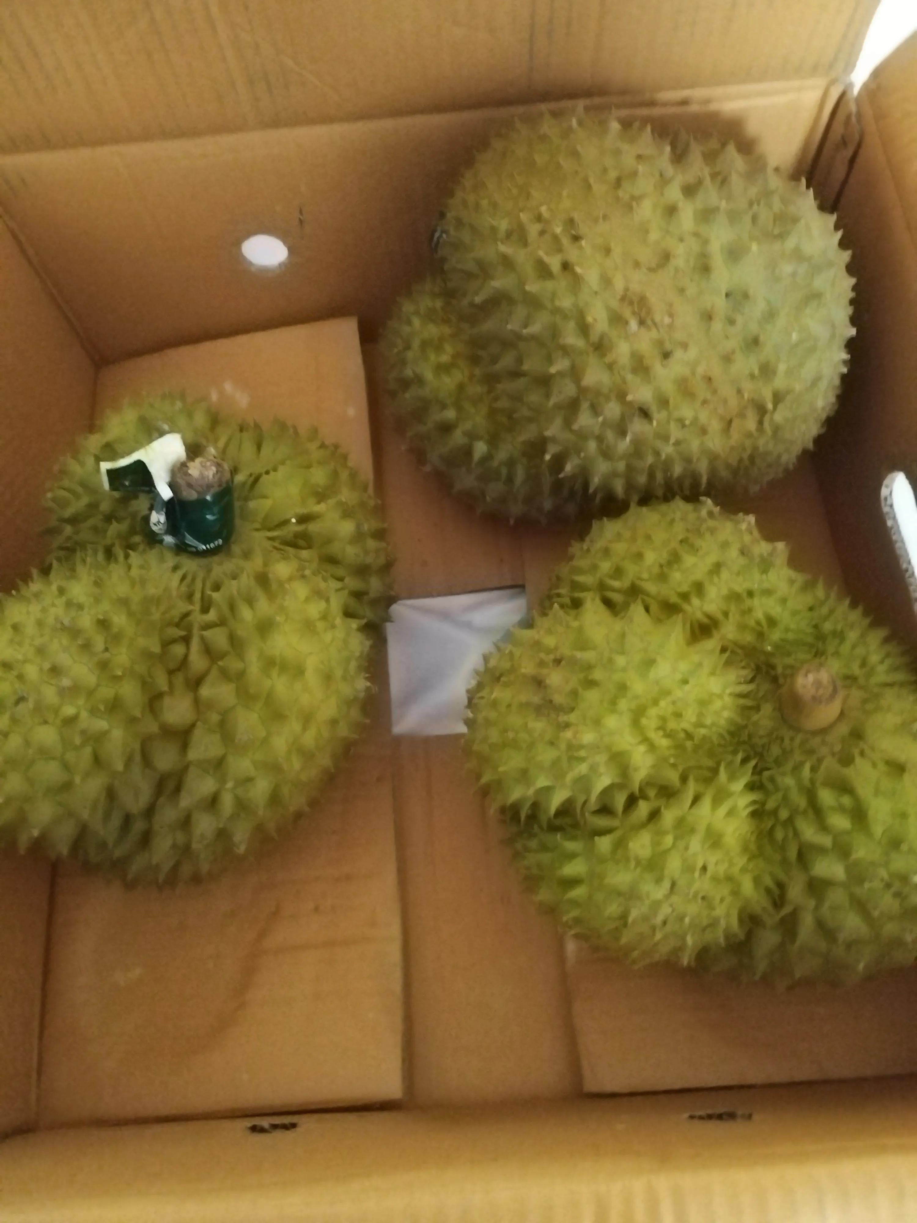 网上这些冷冻榴莲值不值得买,开完的榴莲要放冰箱保鲜吗