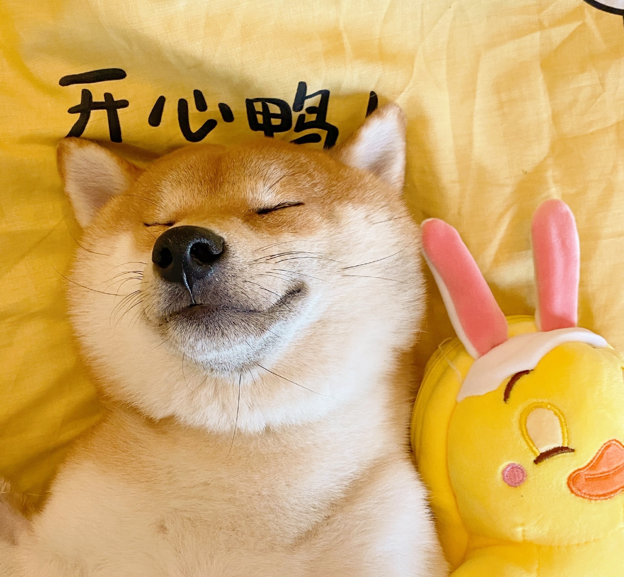 夸人的彩虹屁文案超长沙雕,发自拍搞笑文案沙雕朋友圈