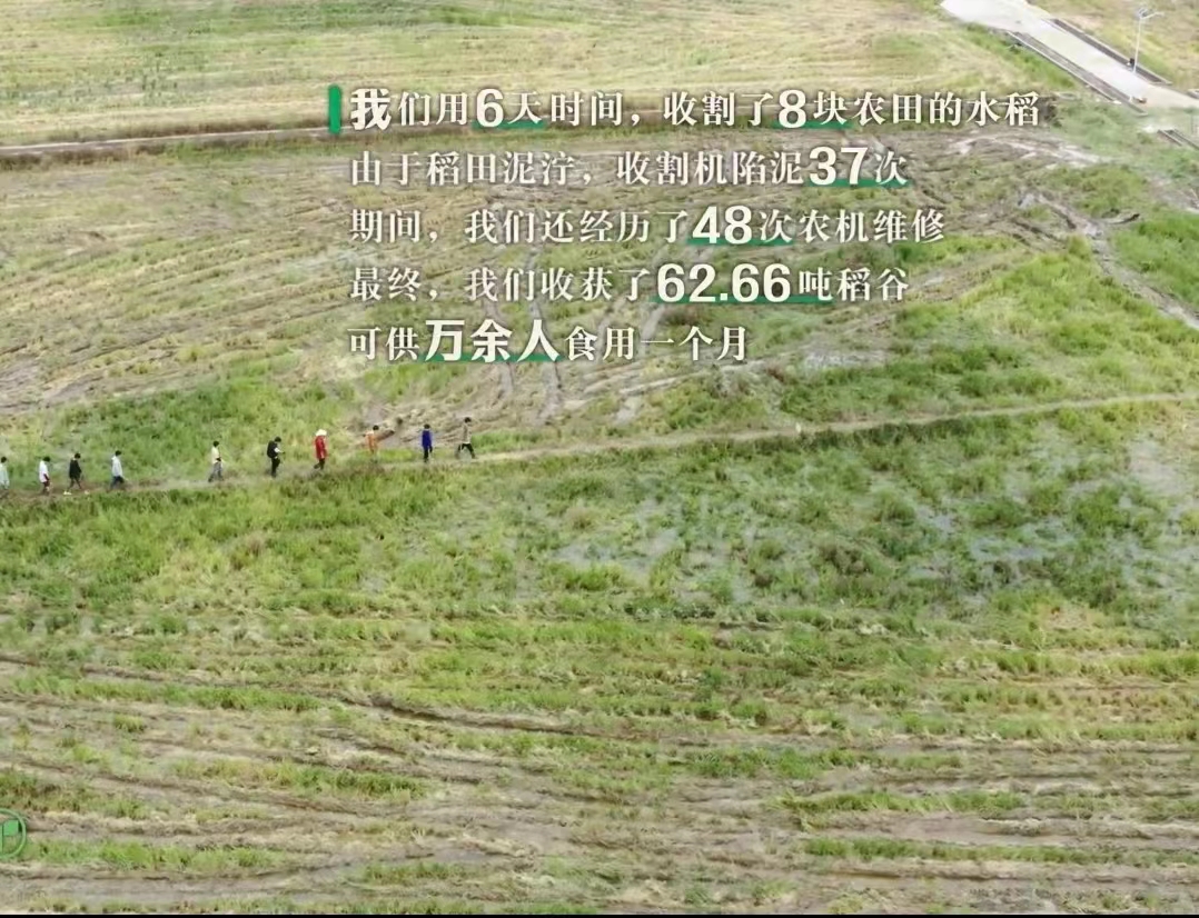 种地吧网友评价,种地吧观众评价