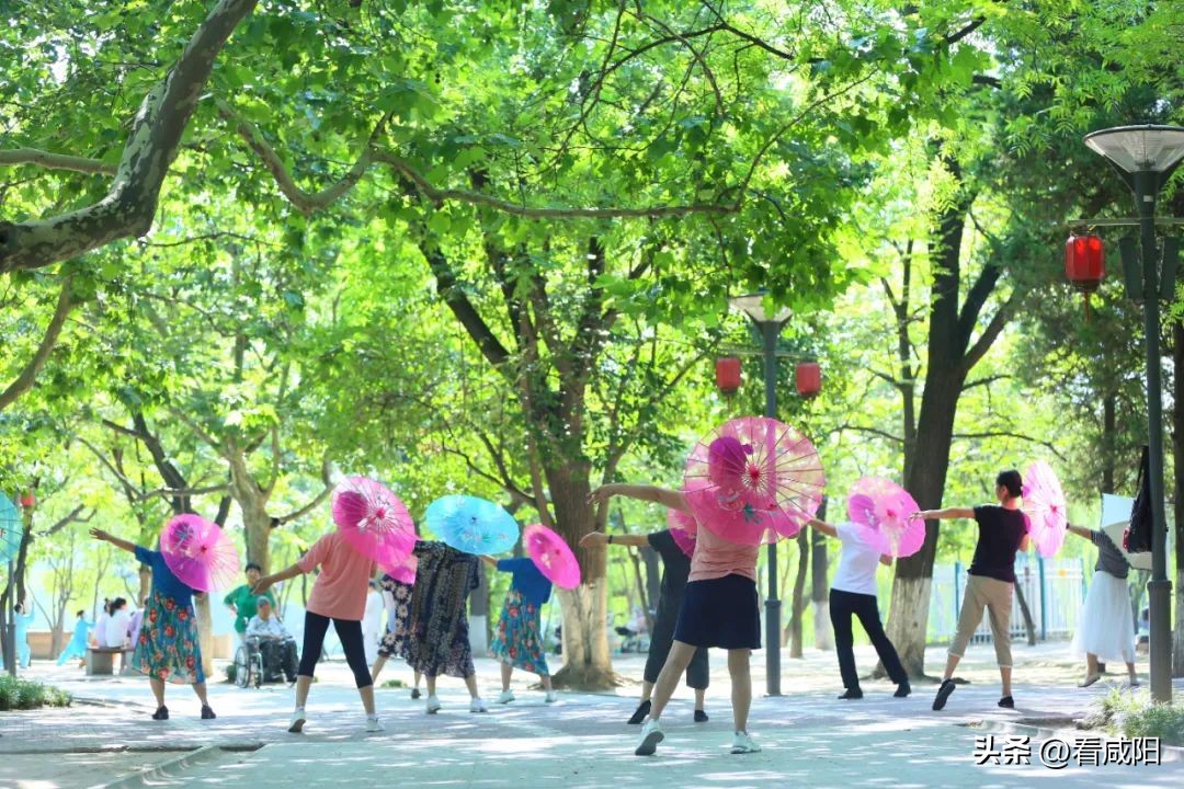 缤纷夏日畅游咸阳直播,缤纷夏日游活动在哪