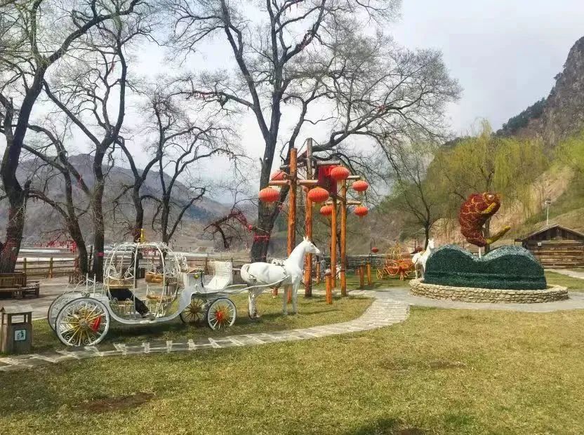 吉林白山九中毕业旅行,毕业旅行就去云南