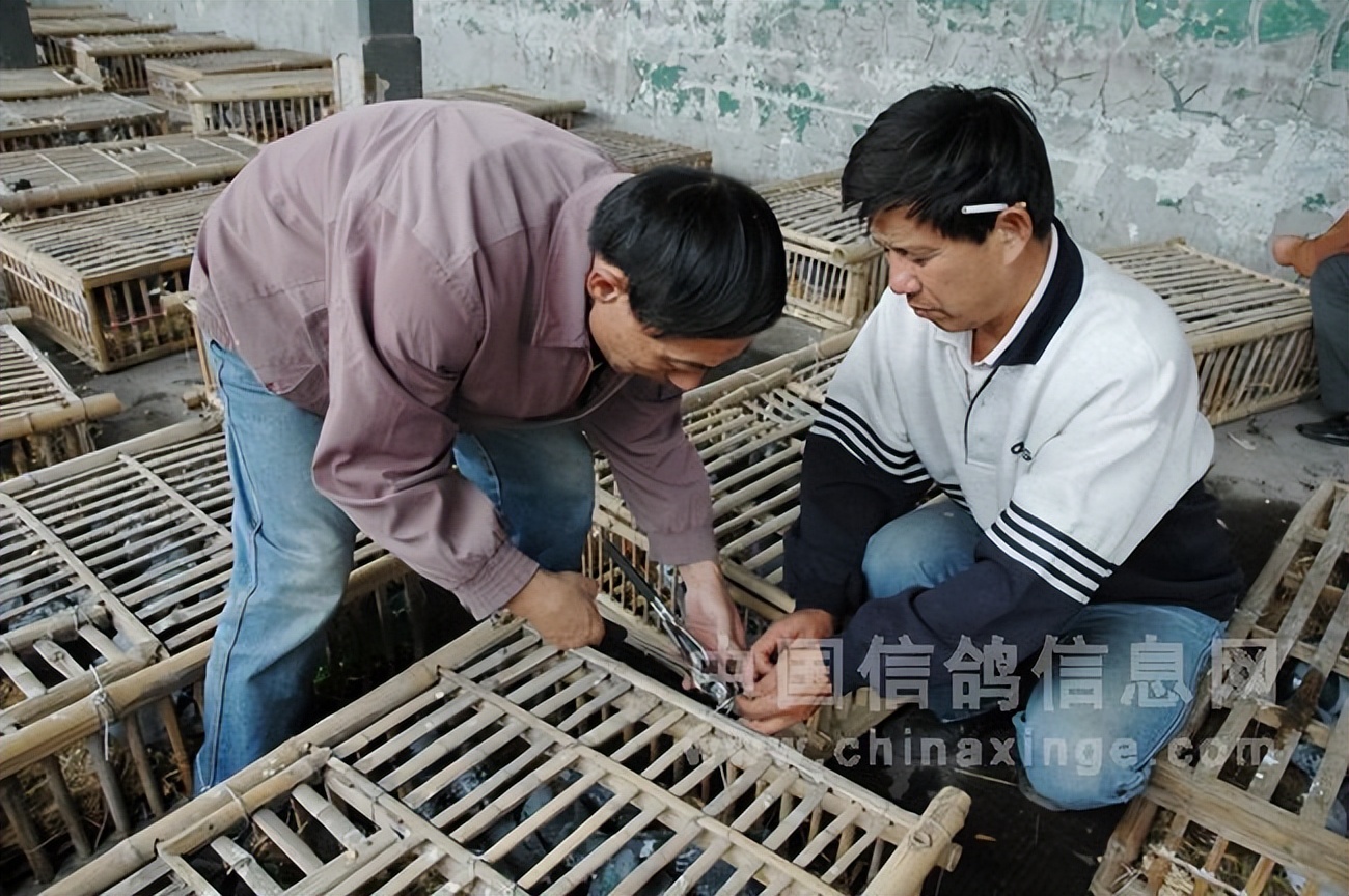 宁镇扬大赛,宁镇扬足球邀请赛