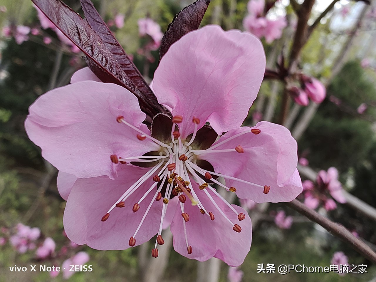 vivoxnote对比其他旗舰手机,vivoxnote使用体验值得购买吗