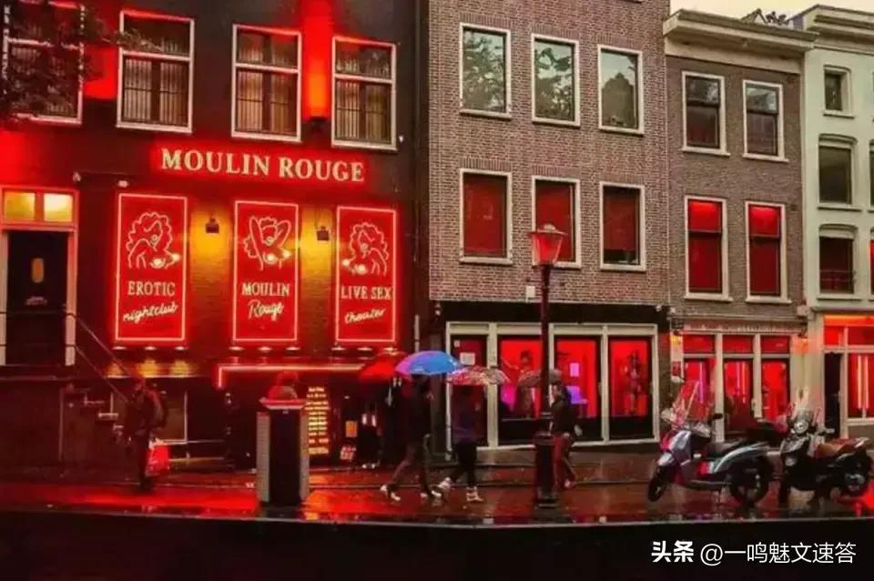 荷兰阿姆斯特丹的特色是什么,荷兰阿姆斯特丹特色行业