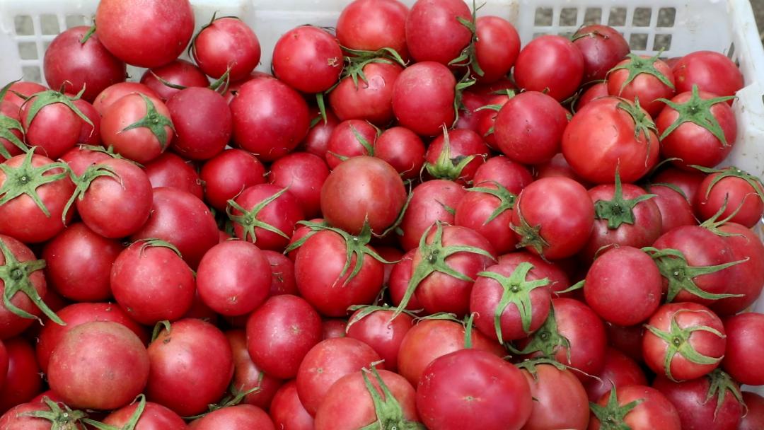 拉萨今年五一旅游多少人,五一拉萨旅游合适吗