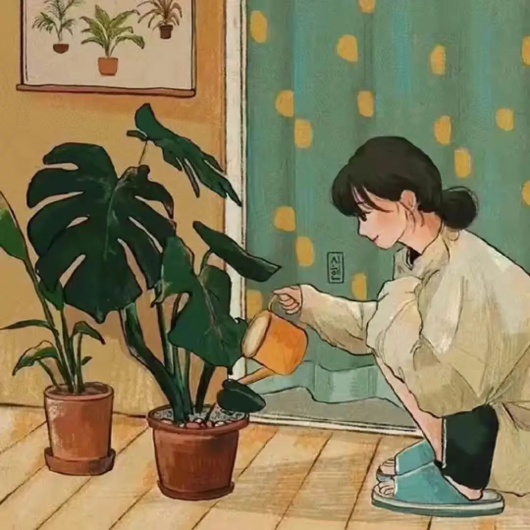 广告投放和涨粉方式排名前五,涨粉热门广告