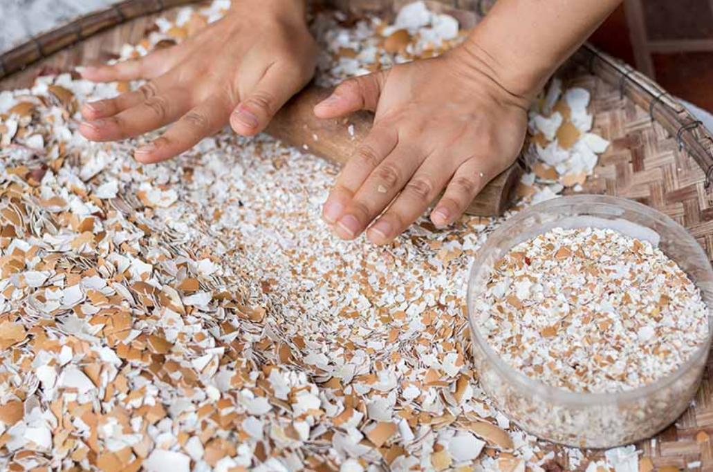 厨房里的养花神器,厨房适合养花的肥料