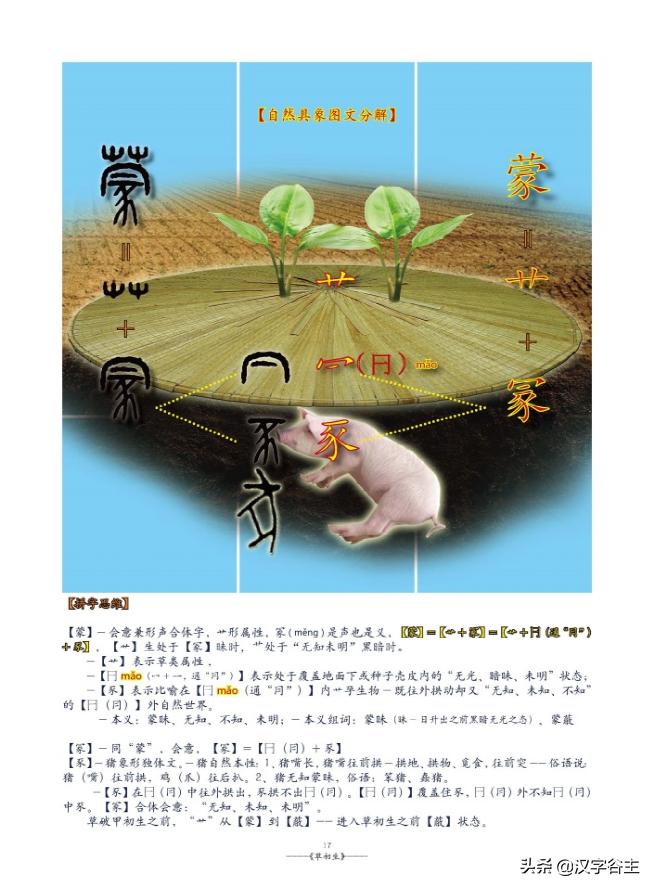 姹夊瓧妞嶇墿,鑽夋湪姹夊瓧