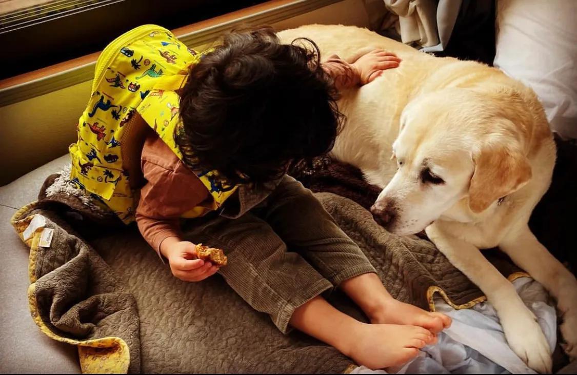 日本42岁混血女神：豪门收割机，曾卷入不雅光碟事件，奉子成婚