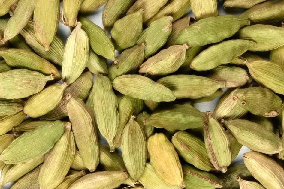 姜类香辛料都包含哪些种,12种必须了解的香料作用和用量