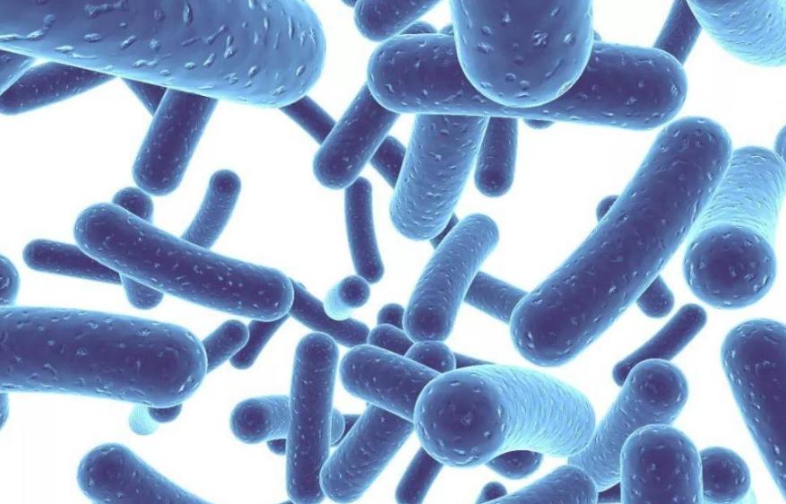 内裤上有分泌物什么原因,为什么内裤总是有分泌物