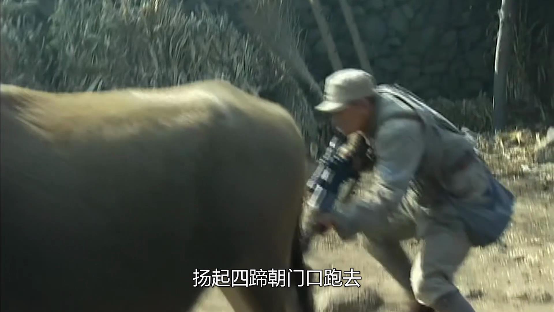 顺溜4：顺溜自制烟雾弹，危急关头发挥大作用，小鬼子直接傻眼！