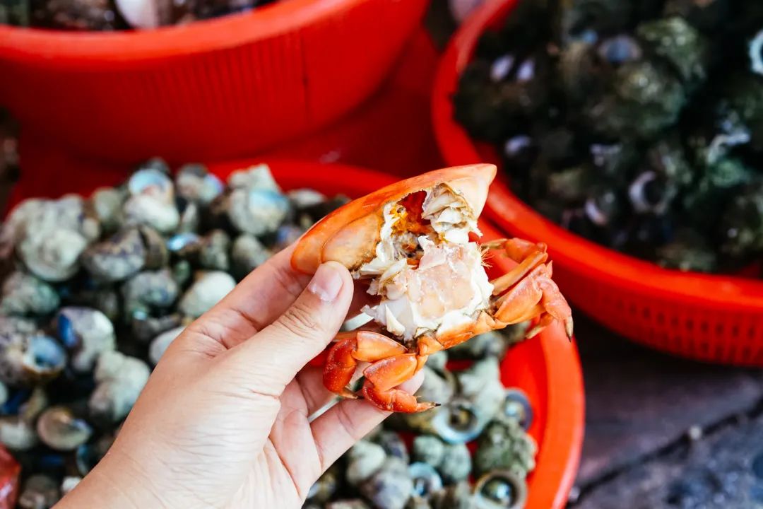 早餐烤乳猪，海鲜论盆卖？这座海岛小城舒坦得有点离谱了