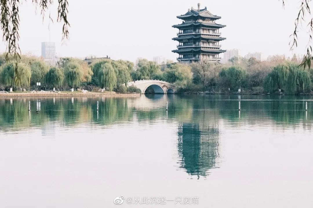 老舍笔下的济南,老舍笔下的济南到底多美