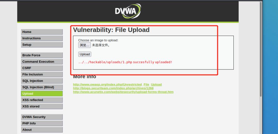web渗透与漏洞挖掘pdf,web渗透漏洞挖掘项目报告