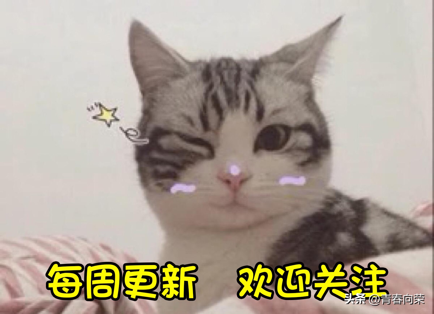 盘点十部场面震撼的系列美剧,推荐5部好看到爆的精彩美剧