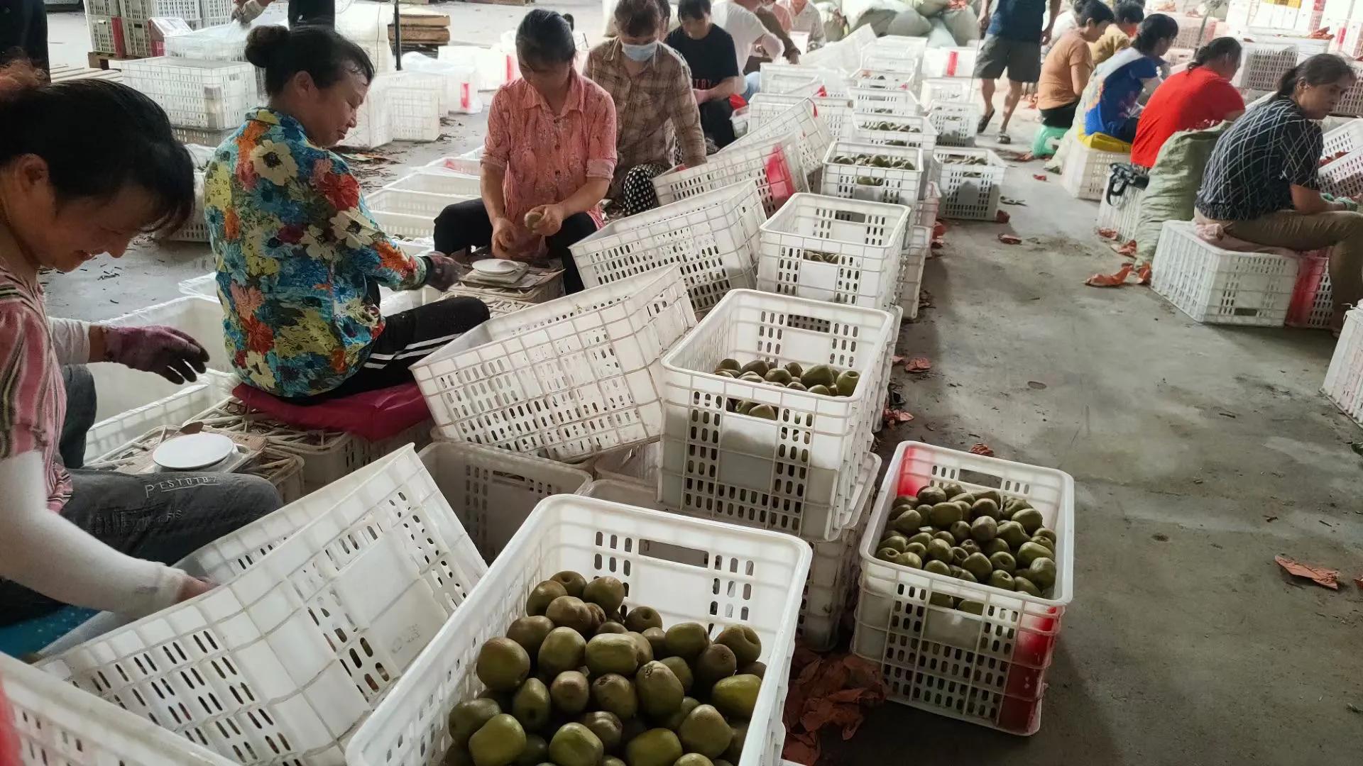 柑橘树最新行情,下半年猕猴桃走势预测