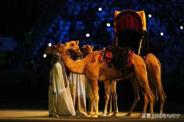 世界杯开幕式节目解读,世界杯开幕式策划方案