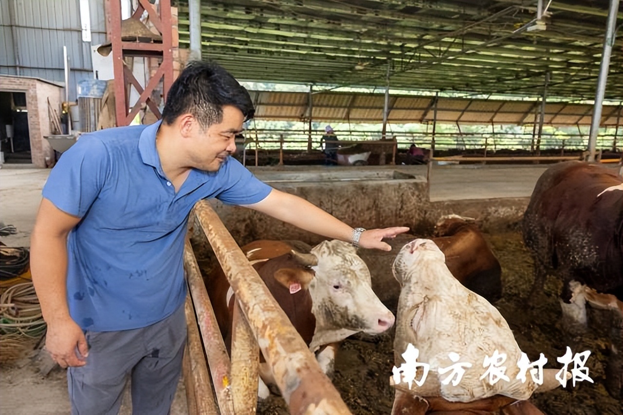 吾心归处为吾乡,吾心归处是原乡歌词