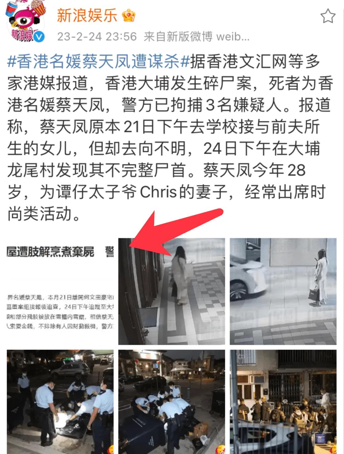 蔡天凤案件被杀全过程,蔡天凤分尸案细节公布