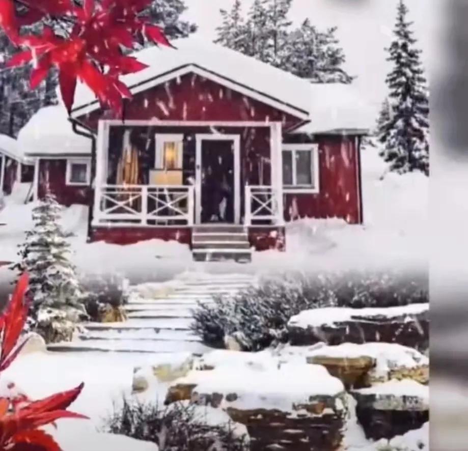 赞抗疫英雄七言律诗,赞抗疫医护诗词