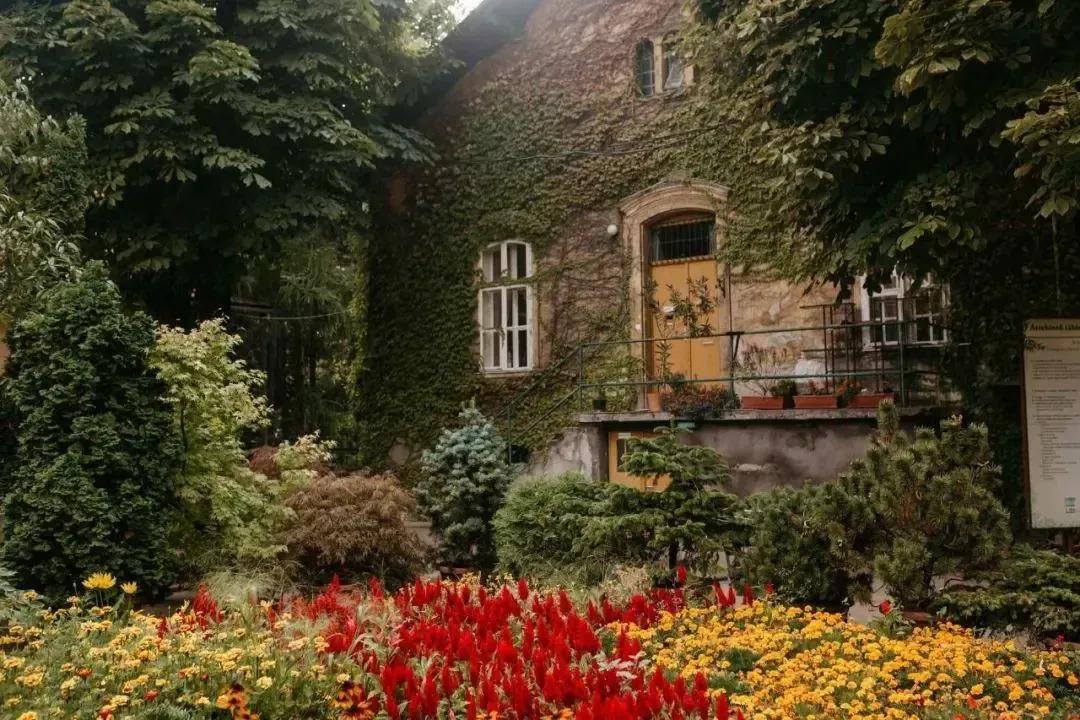 为什么去厦门都要去鼓浪屿,厦门鼓浪屿之行的感受