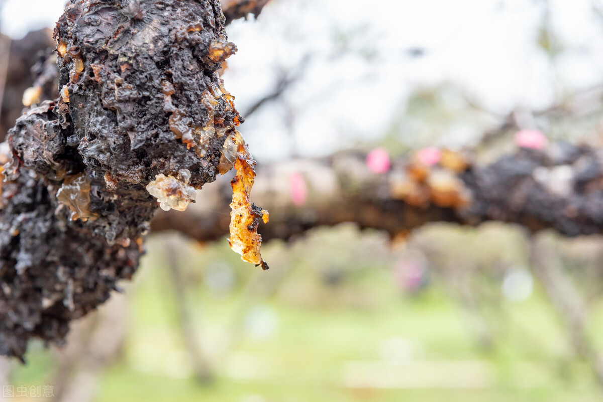 走进桂林阳朔山水,走进桂林深处