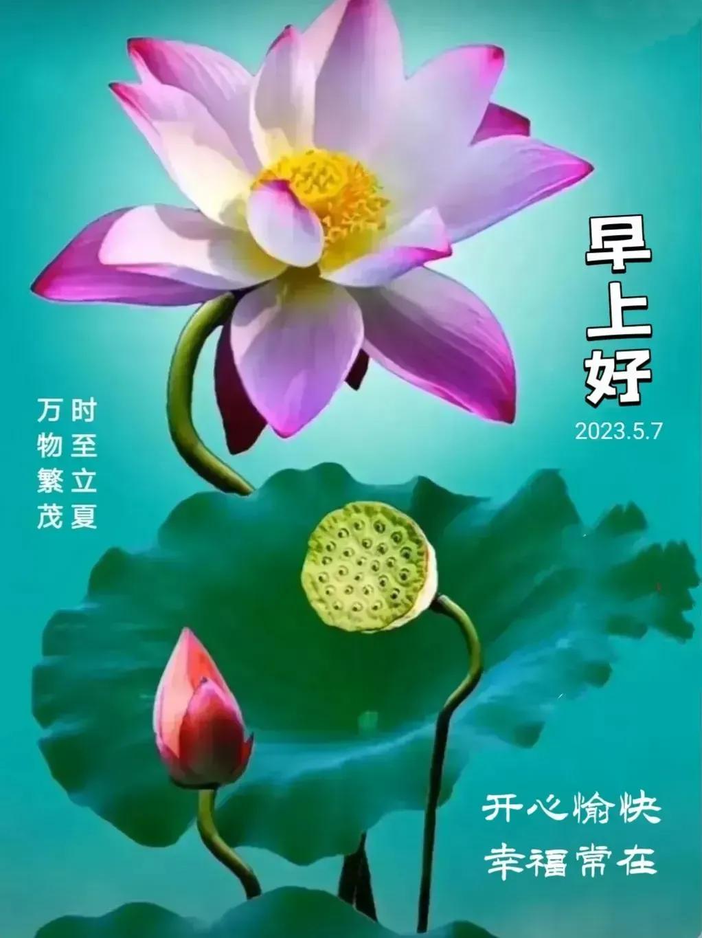 小暑节气最美问候图片,小暑节气早安问候图片