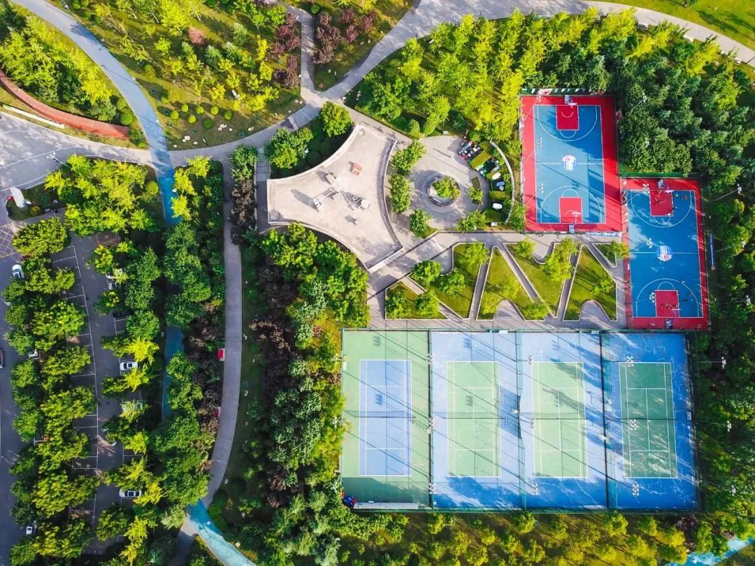 即将开赛！秦凯、郭文珺喊你报名啦