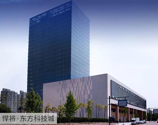 hnk悍将运动袜旗舰店,悍将跑步袜旗舰店中长筒袜