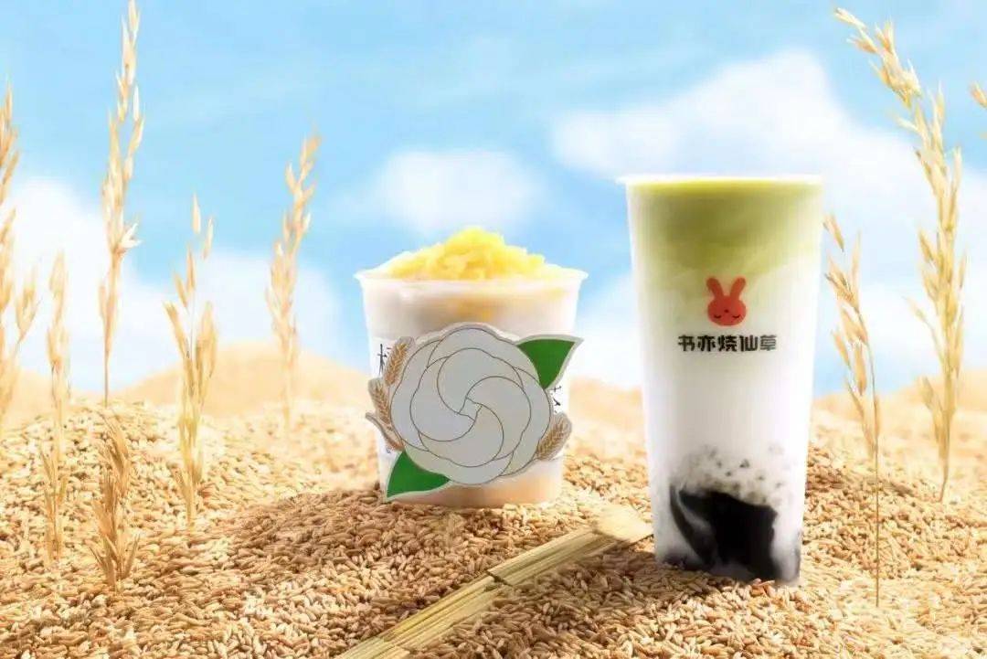 广州餐饮加盟展免费门票,2022广州餐饮加盟展多少家