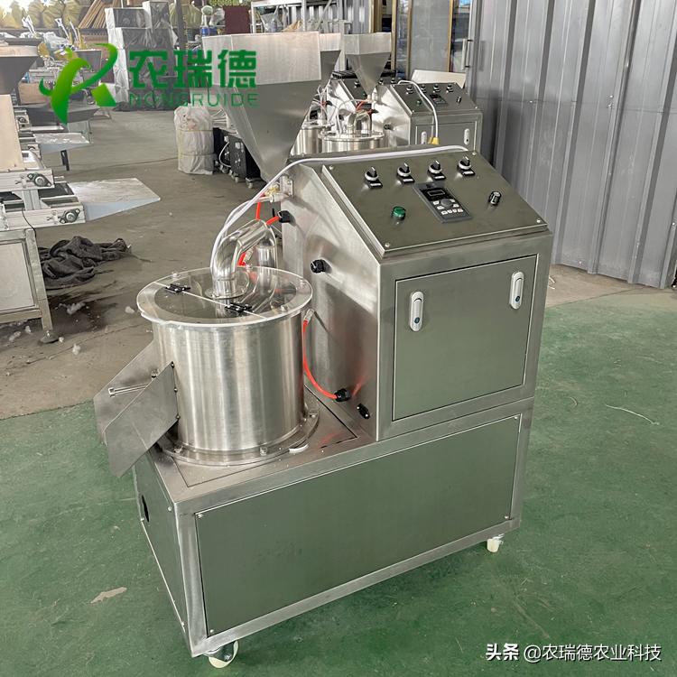 蒲公英‘丸粒+绳播’，轻松高产不是梦