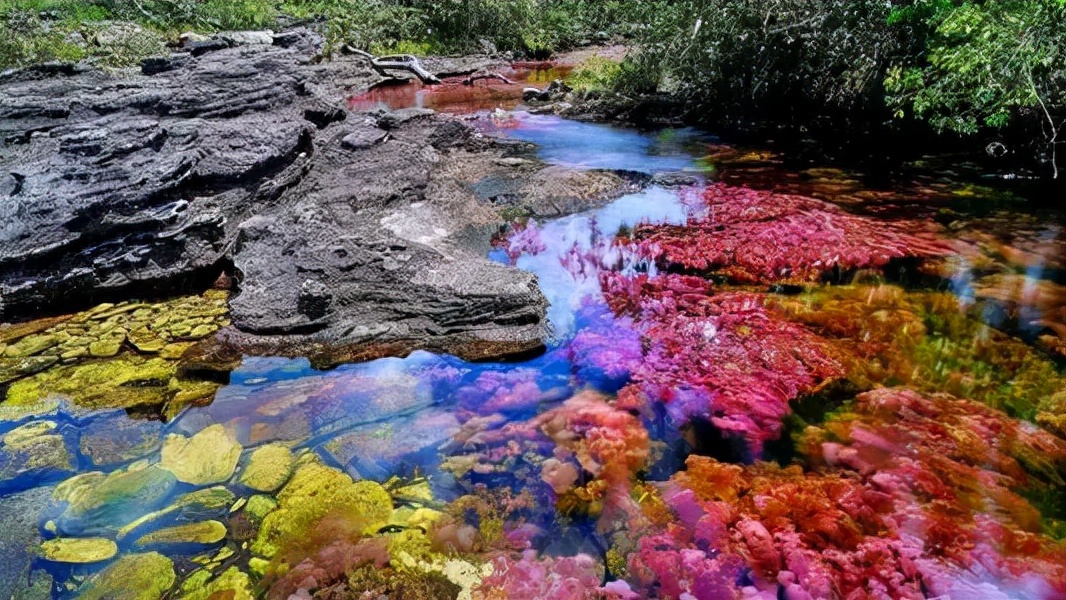 鬼斧神工大自然十大奇观,地球上的七大自然奇观