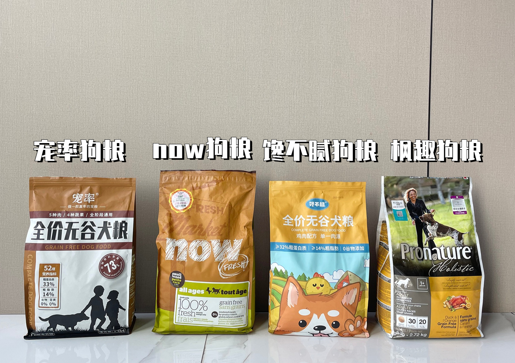 住小区适合养的宠物,住小区适合养什么柴犬