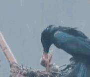 照相怎么避免眼镜反光,怎么避免眼镜反光看到电脑屏幕