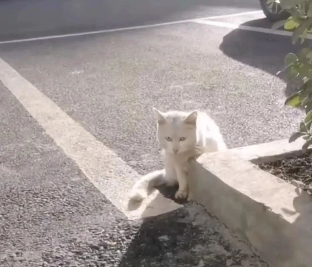 揭秘！派出所的“镇所之宝”