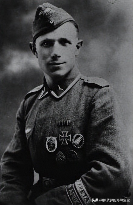 霍尔姆盾章二战德国,二战德国军奖章