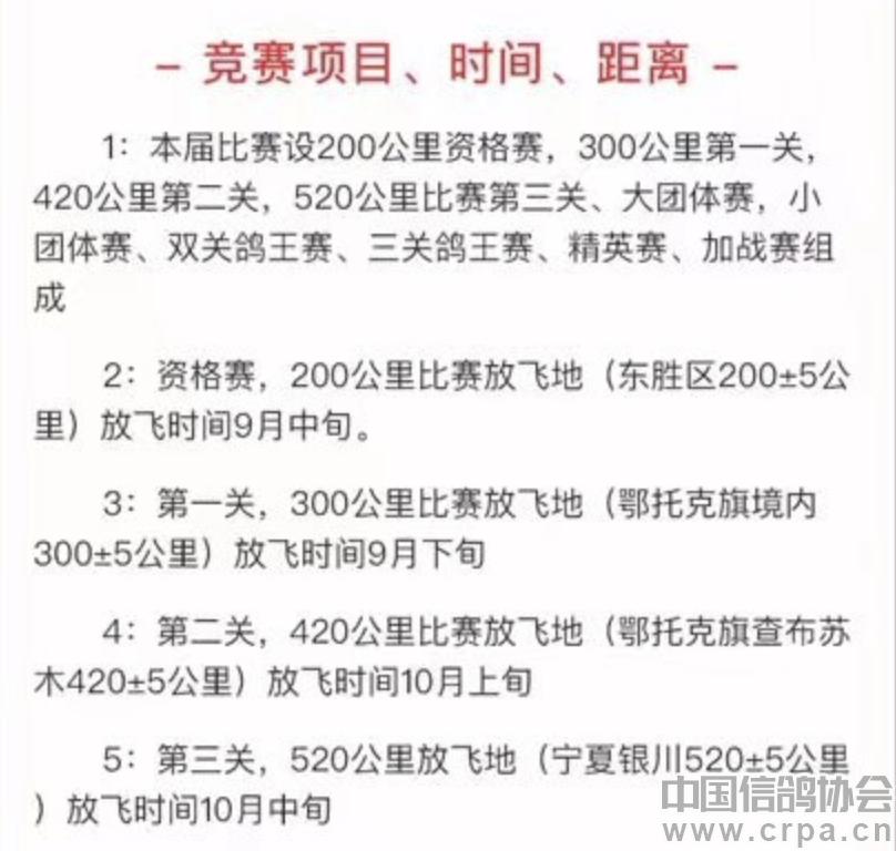 银和赛鸽公棚秋棚,银和赛鸽公棚2019规程