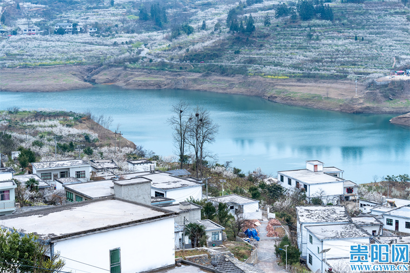 3月贵阳周边赏花,2022年贵阳赏花有哪些地方