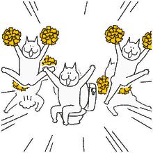 减肥吃红肉好还是白肉好,减肥期间吃白肉还是红肉