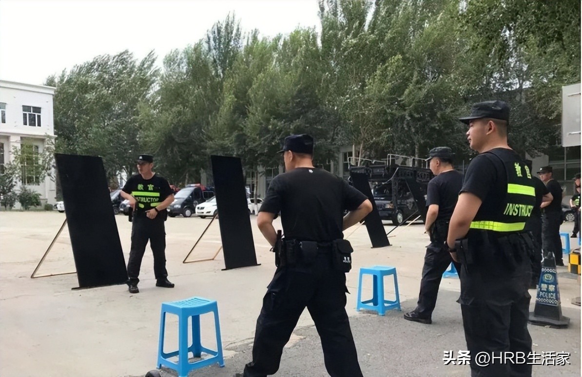 夏季治安打击整治百日行动重要性,夏季治安打击整治百日行动战果