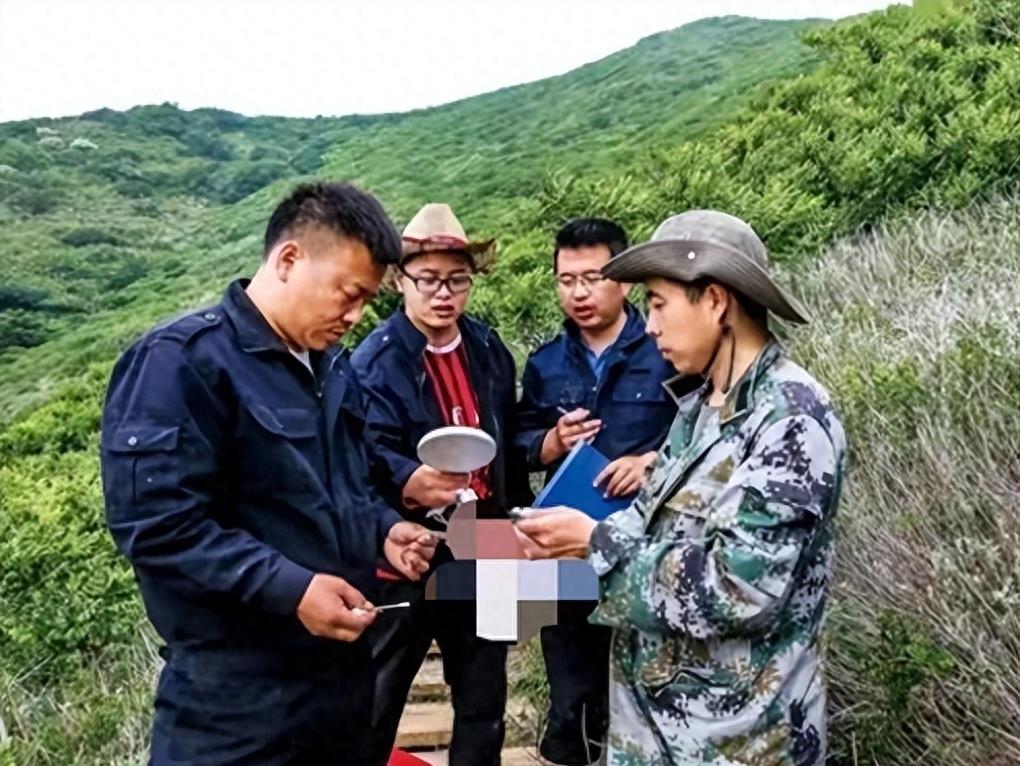 蛇岛生态链惊现老鼠吃蛇,2万条蛇成口粮引关注