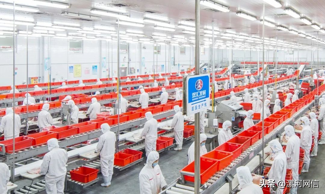 双汇有哪些肉类产品,双汇用品质打造区域第一肉类品牌