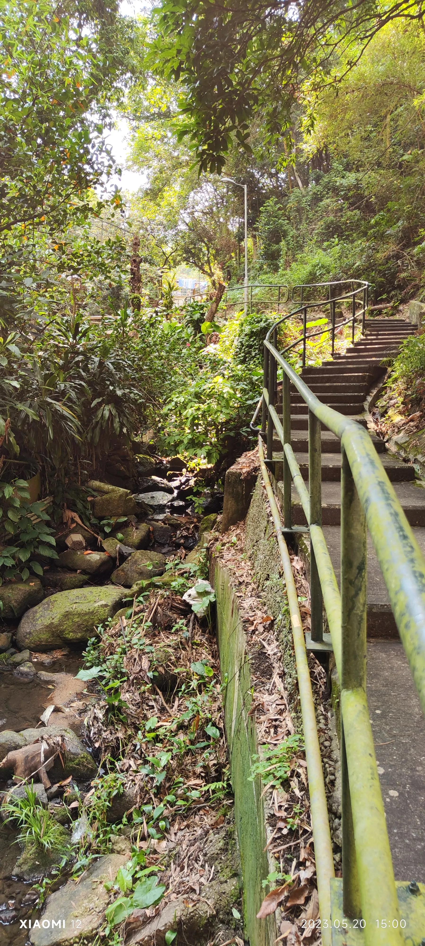 香港大围自由行，重点关注了药品、肉菜以及免税店里香烟的行情