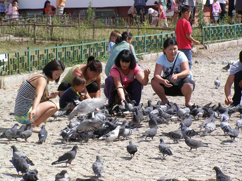 蒙古国现状实拍视频,蒙古国真实的状况