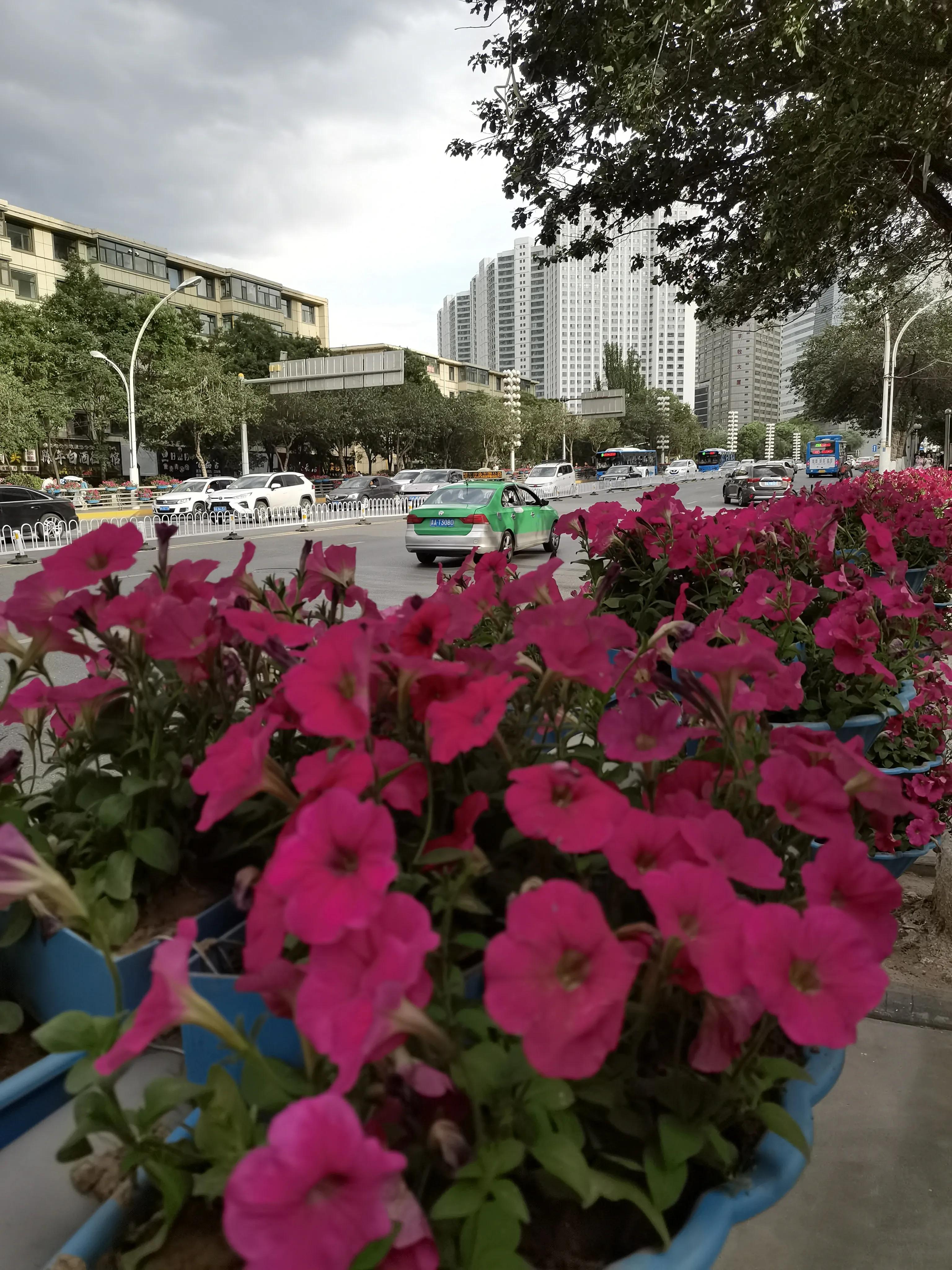 兰州至重庆自驾游沿途的住宿,兰州到青海湖住宿