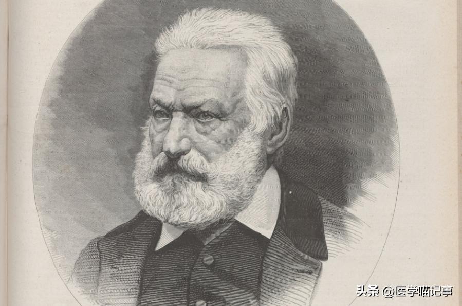 雨果诗歌和小说创作,雨果诗歌和小说创作的成就