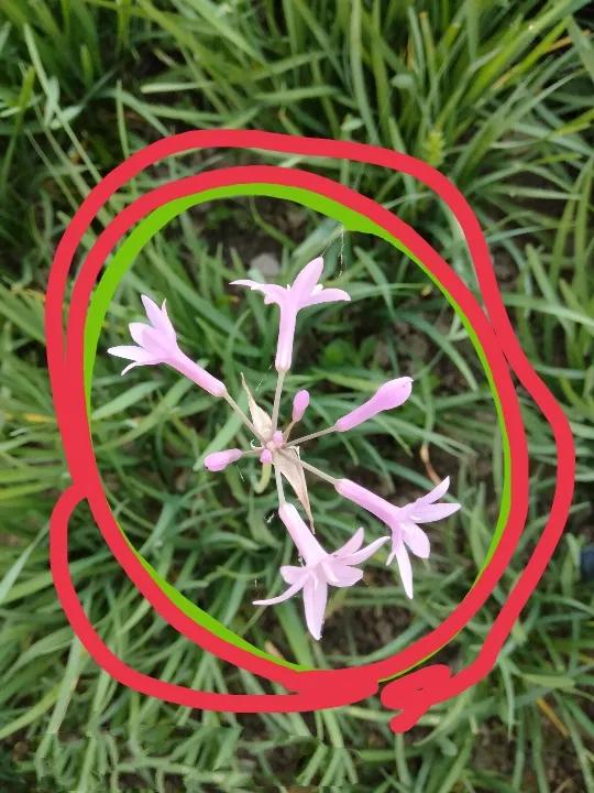 微信朋友圈写作策略,微信有哪些写作技巧