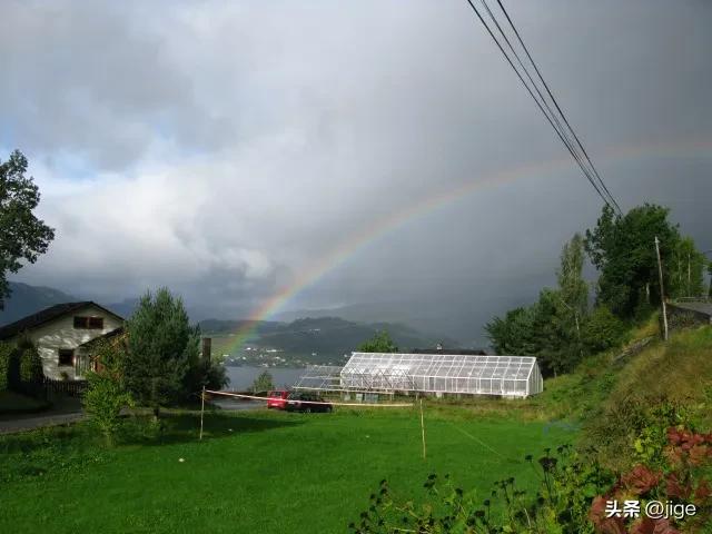 遗憾情结,情结情怀