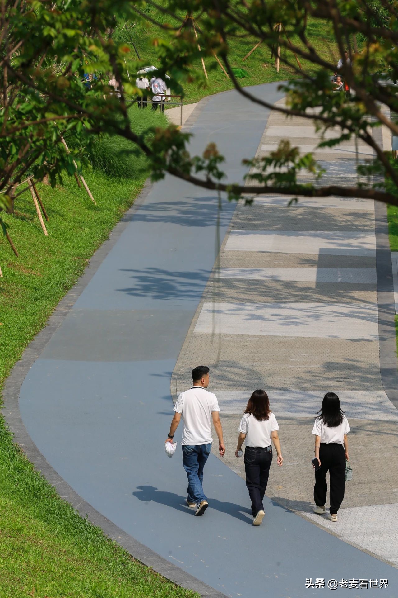 打卡公园东莞游玩攻略,东莞森林公园攻略